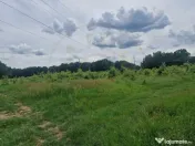 Teren extravilan Pitesti - str. Balotesi!! 