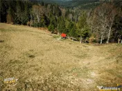 In notabil areal, teren extravilan pe 5.800 mp, Ojdula, Cova 
