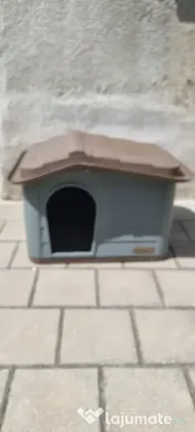Casa pentru Pisici 