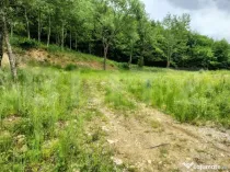 Teren zona de munte 1800 mp, cu apa de izvor, la Somesu Rece
