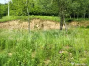 Teren zona de munte 1800 mp, cu apa de izvor, la Somesu Rece