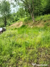 Teren zona de munte 1800 mp, cu apa de izvor, la Somesu Rece