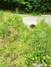Teren zona de munte 1800 mp, cu apa de izvor, la Somesu Rece