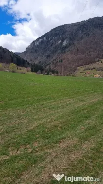 Teren intravilan 1000mp