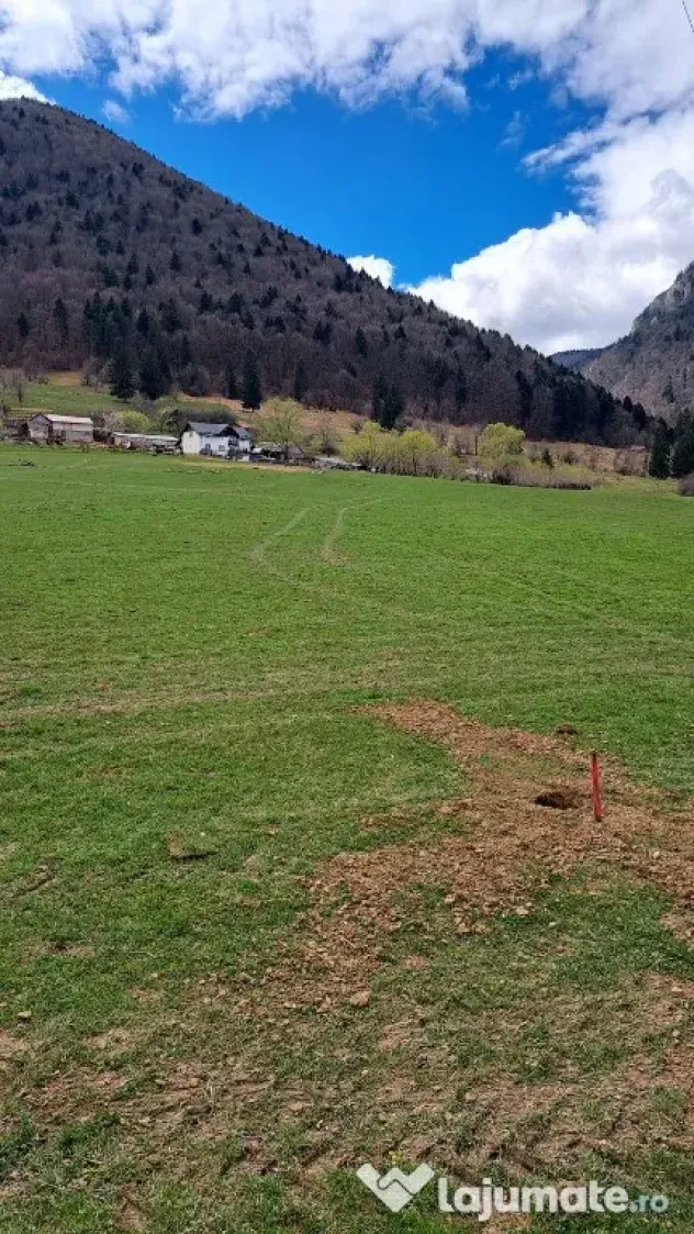 Teren intravilan