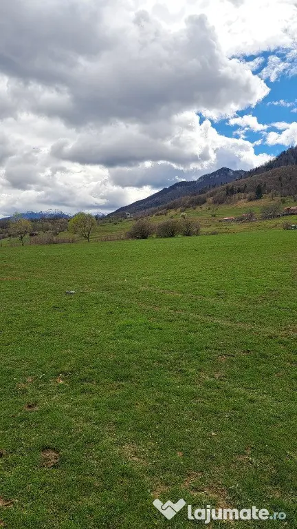Teren intravilan