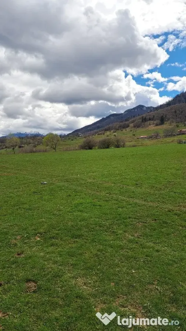 Teren intravilan