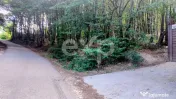 TEREN STEFANESTI(VALEA MARE) ZONA IN PLINA DEZVOLTARE 