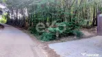 TEREN STEFANESTI(VALEA MARE) ZONA IN PLINA DEZVOLTARE