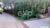 TEREN STEFANESTI(VALEA MARE) ZONA IN PLINA DEZVOLTARE