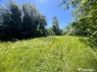 Teren intravilan de vânzare/Ocnele Mari/8.300 mp