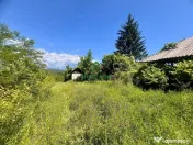 Teren intravilan de vânzare/Ocnele Mari/8.300 mp 