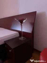 Dristor etaj 8 la metrou 