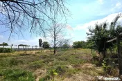 Casă cu teren generos in Potoceni, Buzau 