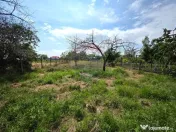 Casă cu teren generos in Potoceni, Buzau