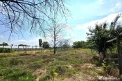 Casă cu teren generos in Potoceni, Buzau
