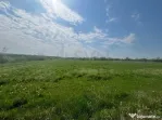 Teren de in Snagov
