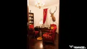 Vila spectaculoasa - zona Cernica