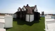 Vila spectaculoasa - zona Cernica 