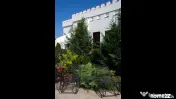 Vila spectaculoasa - zona Cernica