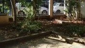 Vila Individuala Nordului - Herastrau