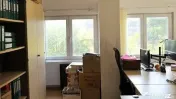 Vila Individuala Nordului - Herastrau