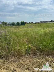 Teren intravilan in Magurele 500 mp 