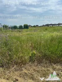 Teren intravilan in Magurele 500 mp 