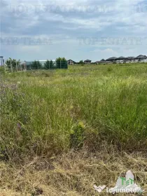 Teren intravilan in Magurele 500 mp