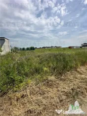 Teren intravilan in Magurele 500 mp 