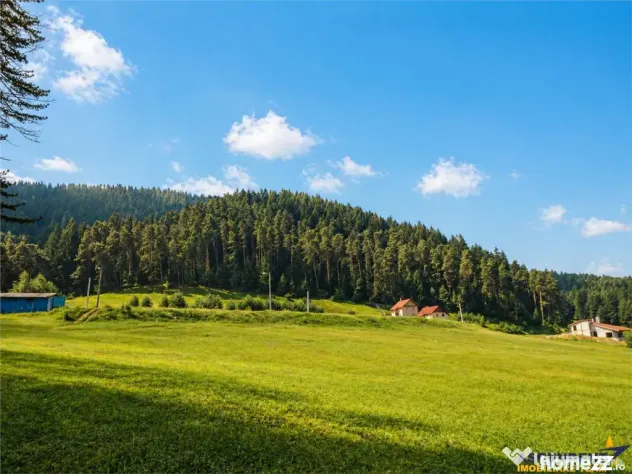 Incantator parc privat, 1.500mp: casa pensiune refugiu mon
