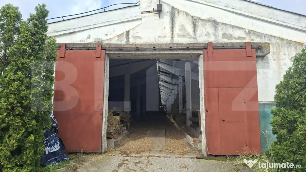 Hale industriale de vanzare, 3000 mp, teren 15000 mp - Maier