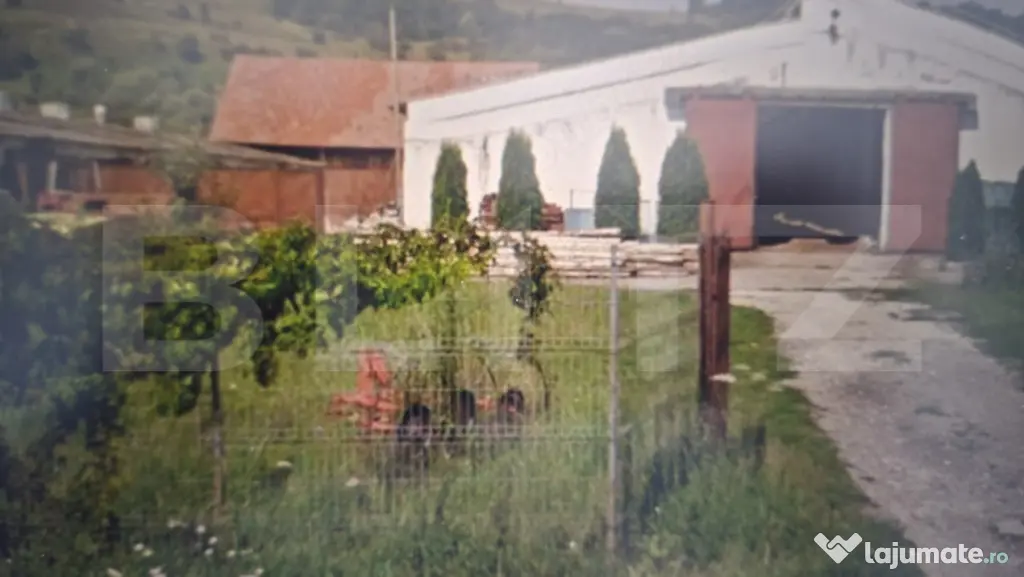 Hale industriale de vanzare, 3000 mp, teren 15000 mp - Maier