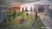 Hale industriale de vanzare, 3000 mp, teren 15000 mp - Maier