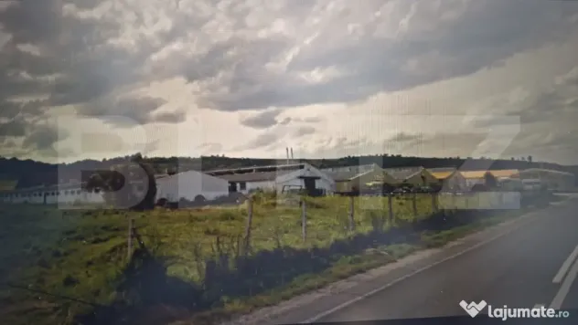 Hale industriale de vanzare, 3000 mp, teren 15000 mp - Maier