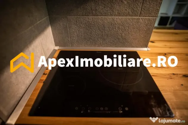 Apartament 2 camere de inchiriat Herastrau București | Apex