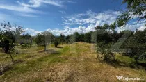 Teren intravilan cu acces la asfalt 1.600 mp în Vintu de Jo
