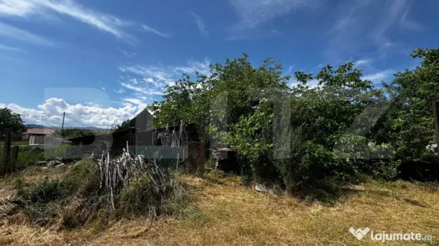 Teren intravilan cu acces la asfalt 1.600 mp în Vintu de Jo