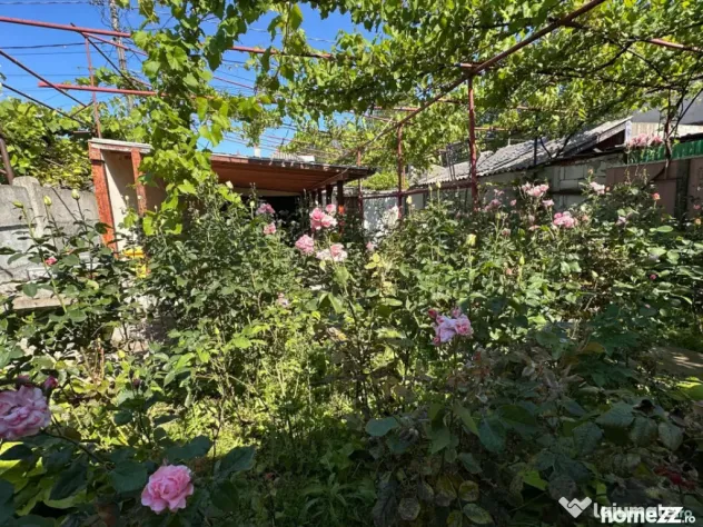 Casă 3 camere de vânzare în Brătianu Constanța | Teren