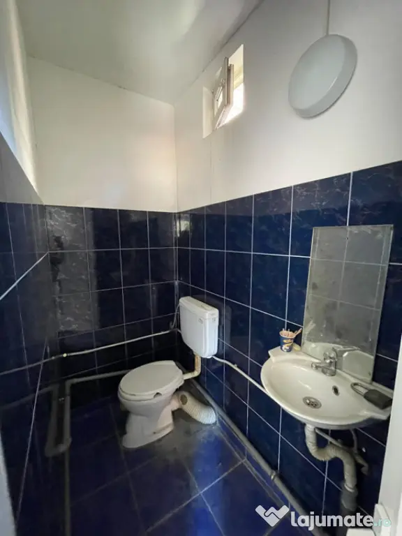 Spatiu comercial 45 mp - Brazda lui Novac
