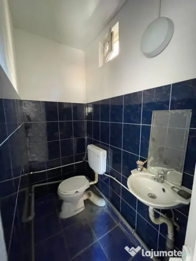 Spatiu comercial 45 mp - Brazda lui Novac