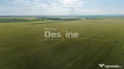 Teren extravilan, neimprejmuit, disponibil imediat, Dumbrava 