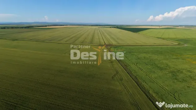 Teren extravilan, neimprejmuit, disponibil imediat, Dumbrava