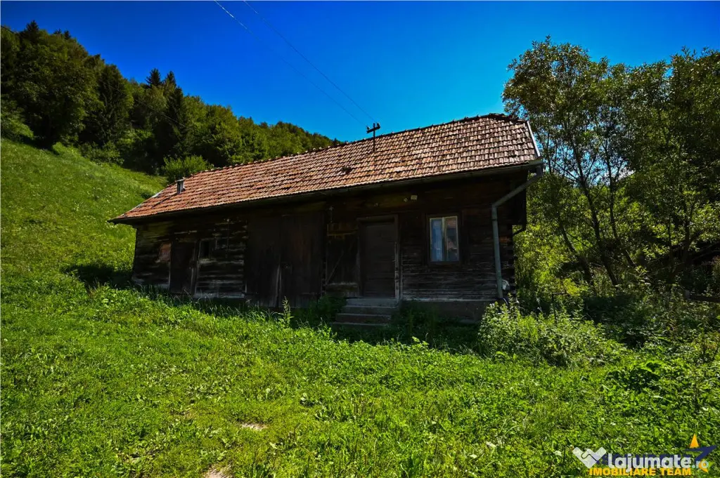 FILM! Proprietate autentica, Bran-Simon, 4.300 mp teren, cas