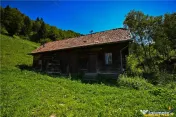 FILM! Proprietate autentica, Bran-Simon, 4.300 mp teren, cas