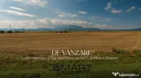 Teren extravilan/agricol 47000mp în Râșnov 
