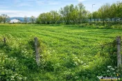 Teren extravilan 1.450 mp, din care curti constructii 312 mp 
