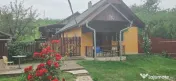 Casă cu teren 3.000 mp de vânzare, str. Adevărului 