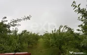 Casă semifinisată | Buzoiești | Teren generos 2.900 mp