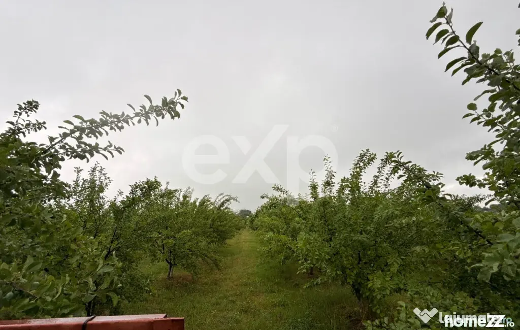 Casă semifinisată | Buzoiești | Teren generos 2.900 mp